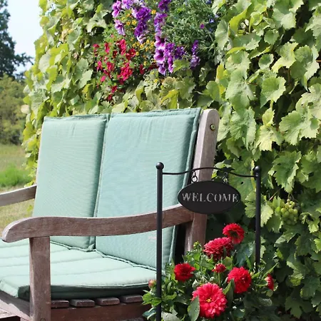 Appartamento Cozy In Hohenkirchen With Terrace *